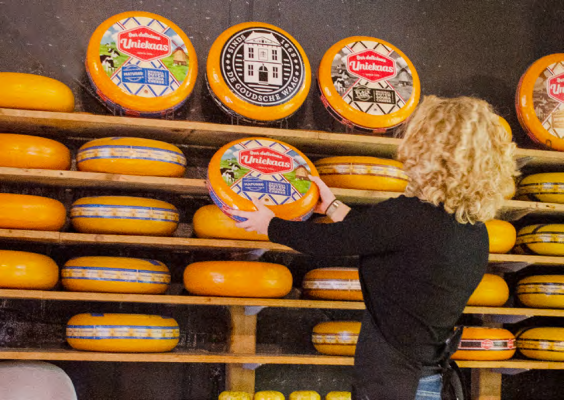 Goudse waag cheese