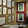 HASH MARIHUANA & HEMP MUSEUM