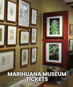 HASH MARIHUANA & HEMP MUSEUM