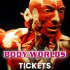 Musea Tickets Body Worlds