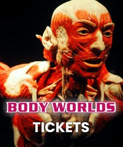 Musea Tickets Body Worlds