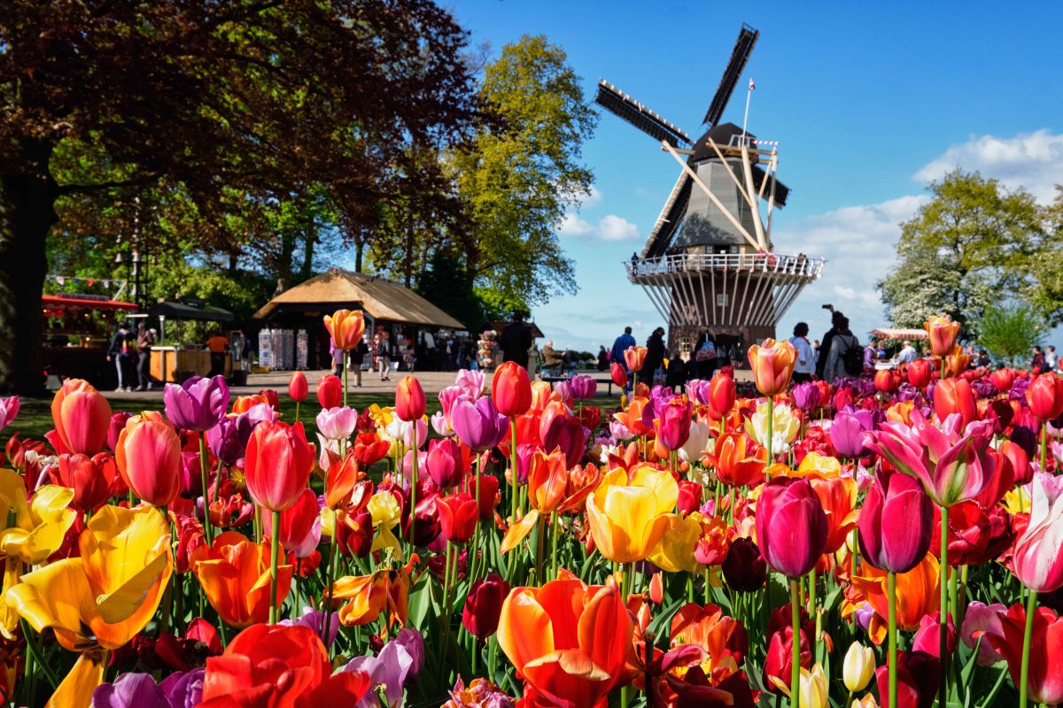 Public Transport Holland Shop