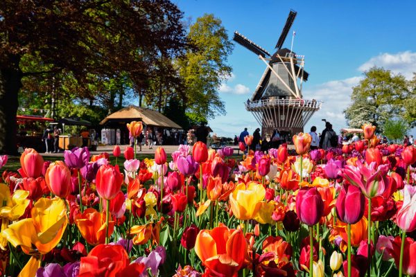 Keukenhof Public Transport