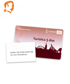 Seville Travel Ticket